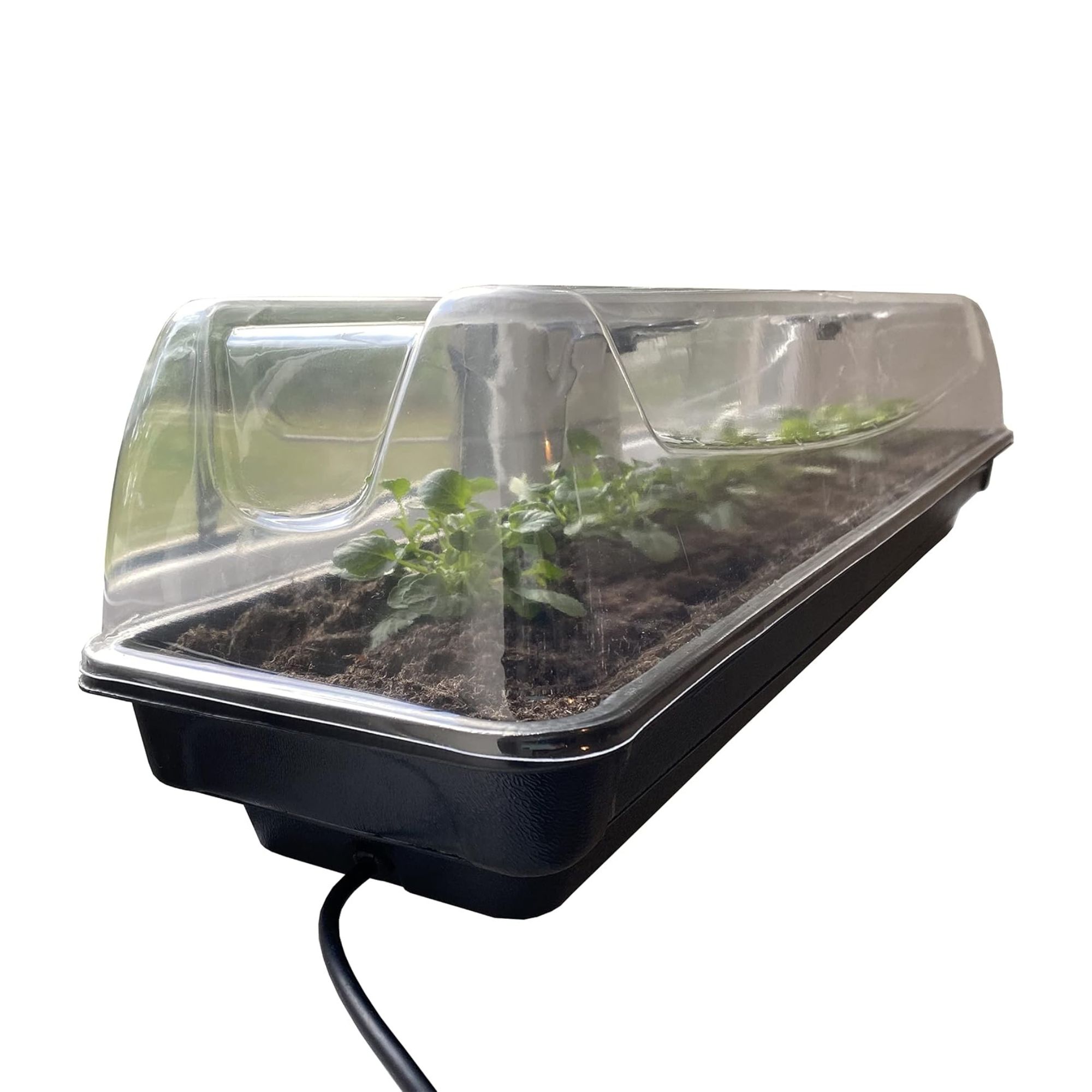 Selections Jumbo Electric Heated Windowsill Plant &amp;amp; Seed Propagator (80cm)