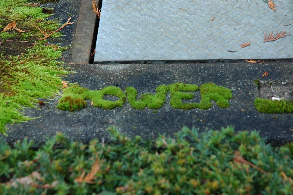 Moss Graffiti