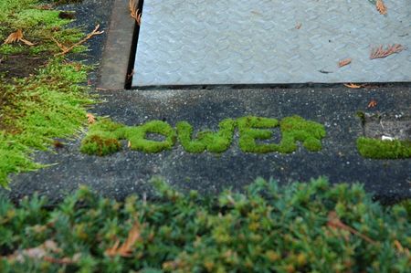 Moss Graffiti