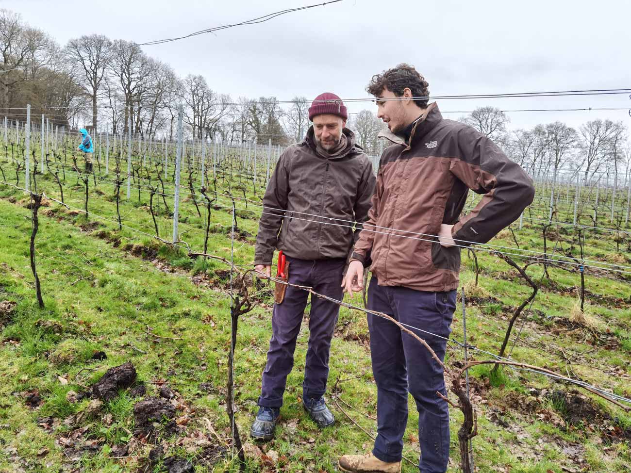 Vineyard-Instructor-and-Lecturer-Tom-Newham-left-and-Viticulture-Apprenticeships-Programme-Manager-Charles-Negus-right.jpg