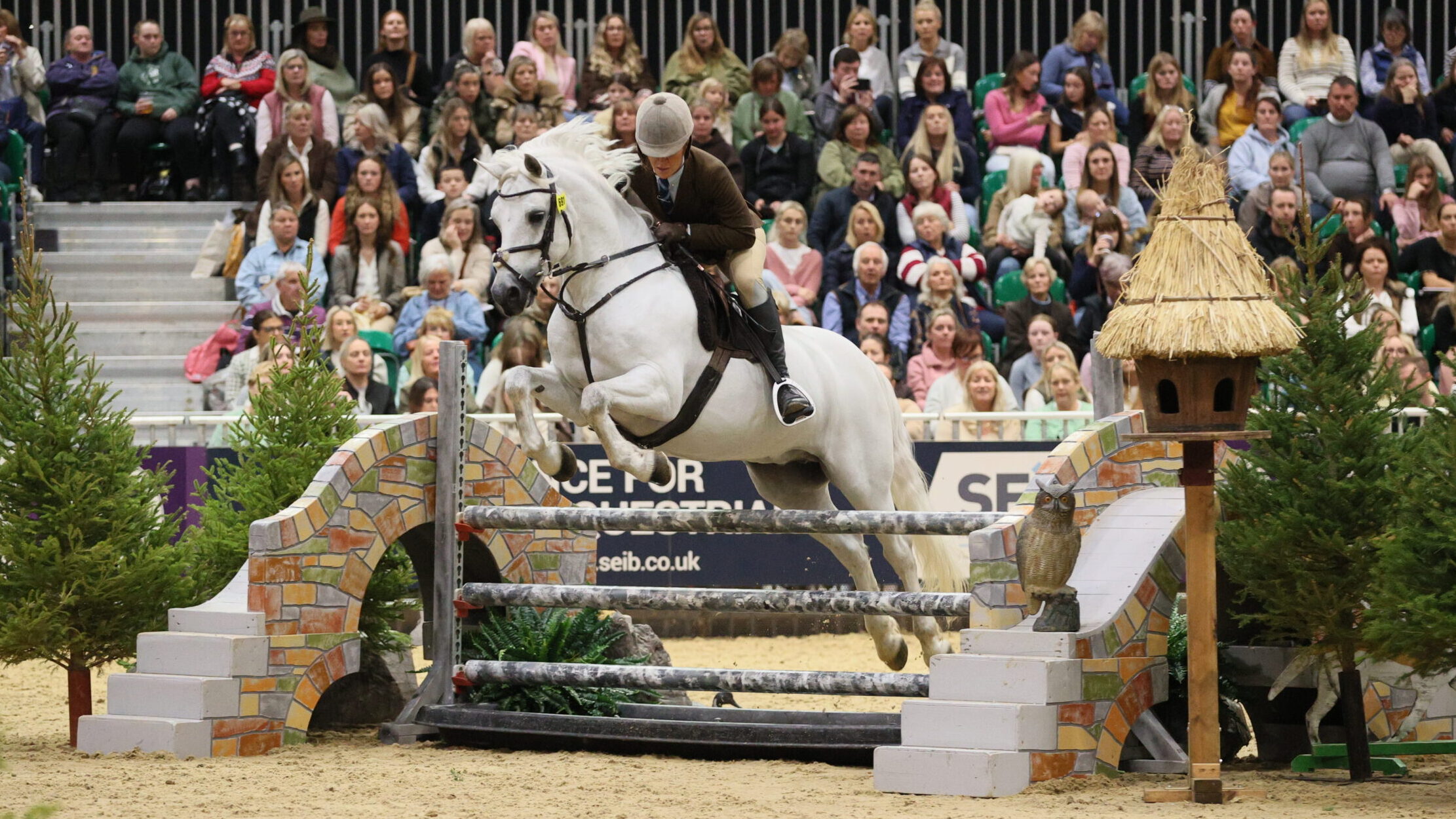 143cm M&amp;amp;M worker winner and Amy Smith en route to clear and the overall M&amp;amp;M worker spoils at HOYS 2025 Clonfert Melody's Boy