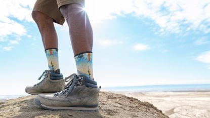 Smartwool Hike socks