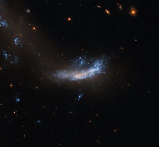A galaxy that is flat and misshapen. Above and on its right it is covered by plumes of shining gas and dust, while its centre and left side are more dim and patchy. A trail of dark, dim dust stretches from below the galaxy up and off to the left, where there are three more bright patches. The background around the galaxy is quite dark, with only a few small background galaxies and one star visible