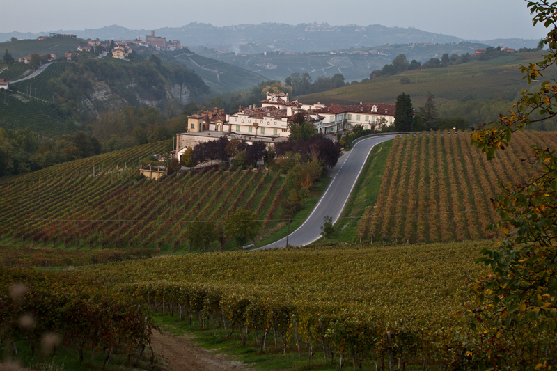 Gaja winery, Piedmont