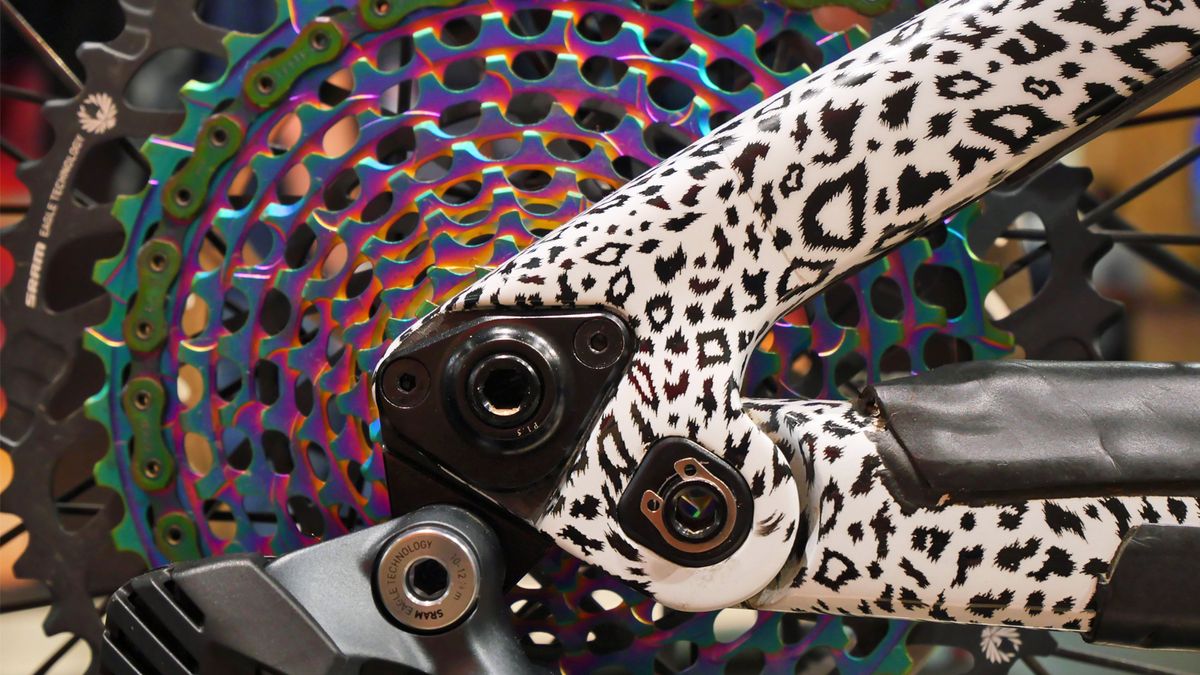 Isabeau Courdurier's Lapierre Spicy custom