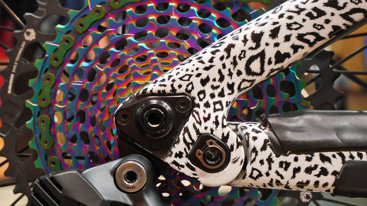 Isabeau Courdurier's Lapierre Spicy custom