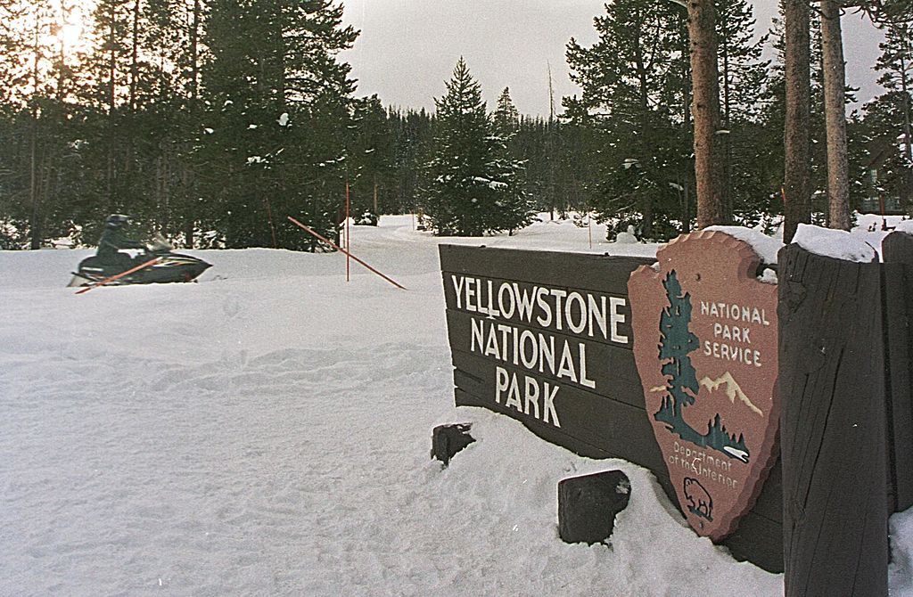 Tourists ride snowmobiles through Yellowstone National Park.