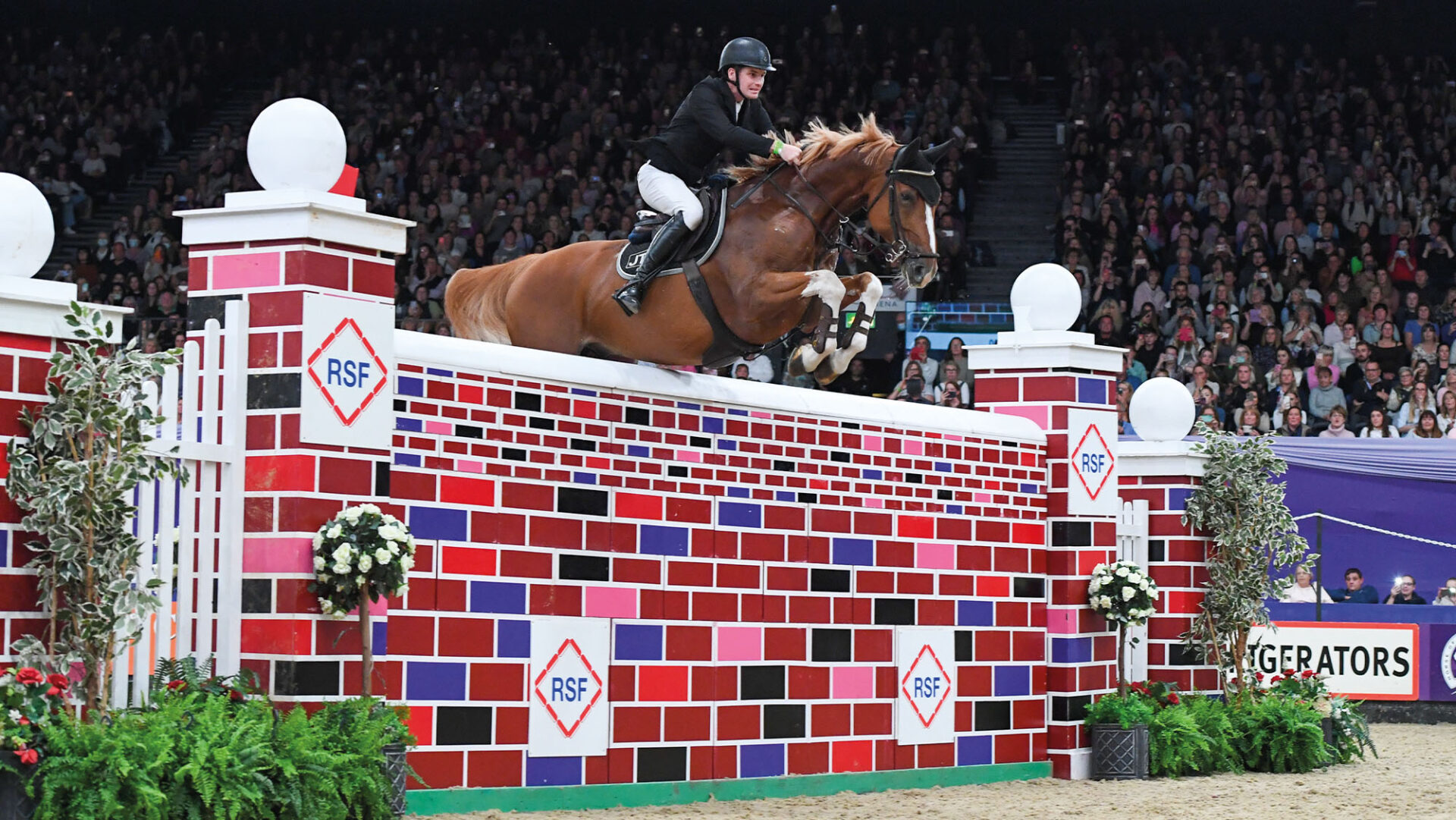Horse of the Year Show