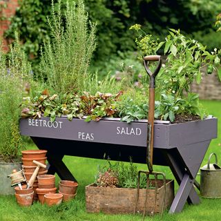 Garden with herbs in wooden box with garden fork and pots around it
