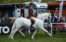 Hannah Horton riding Slieve Bloom Jill, Champion Native BSPS Heritage Ridden Championship during Saturday of the Royal Windsor Show, in the grounds of Windsor Castle in Windsor in the county of Berkshire, UK on 14th May 2016