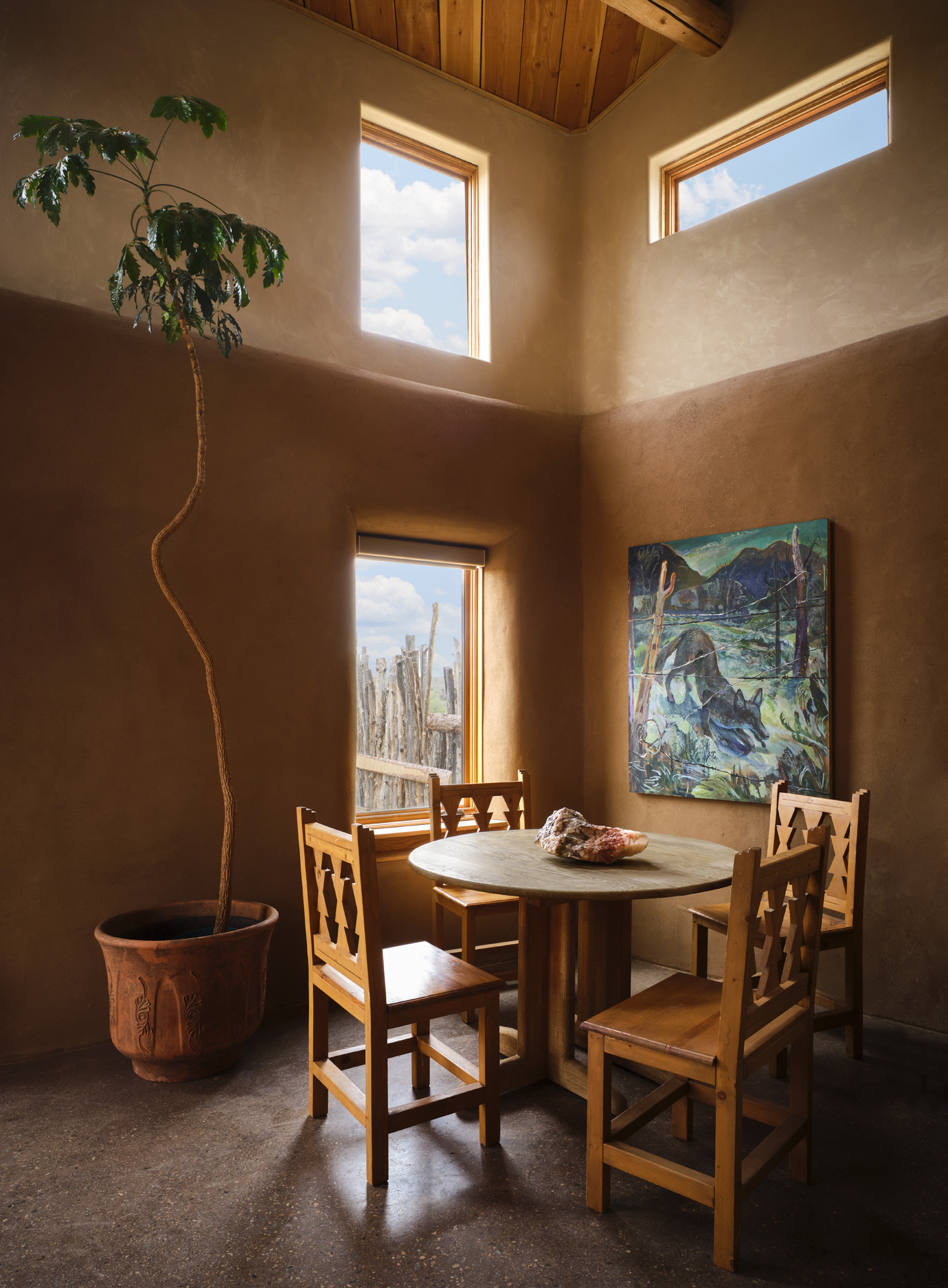 Coyote house features