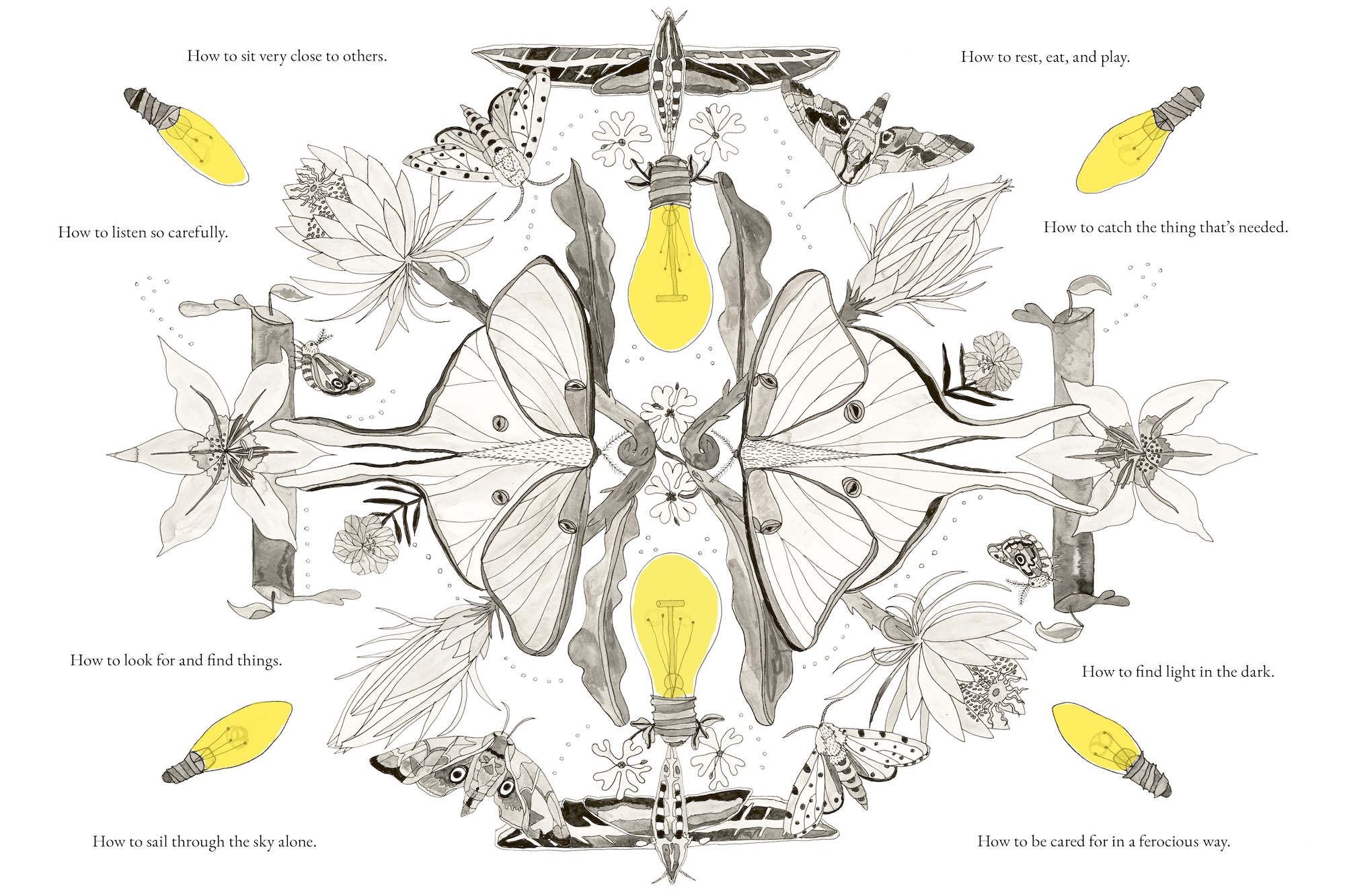 oralee clare crespo book