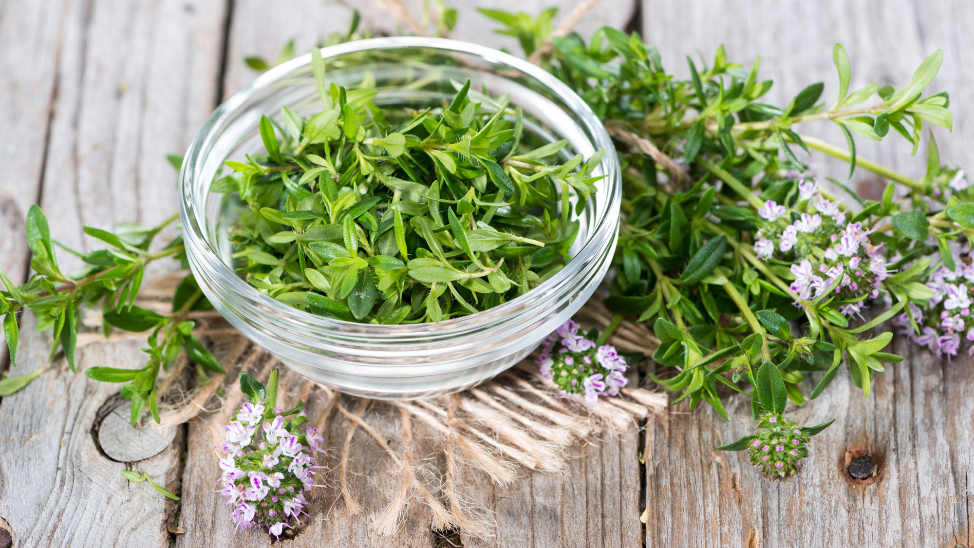 winter savory harvested in a dish and on table