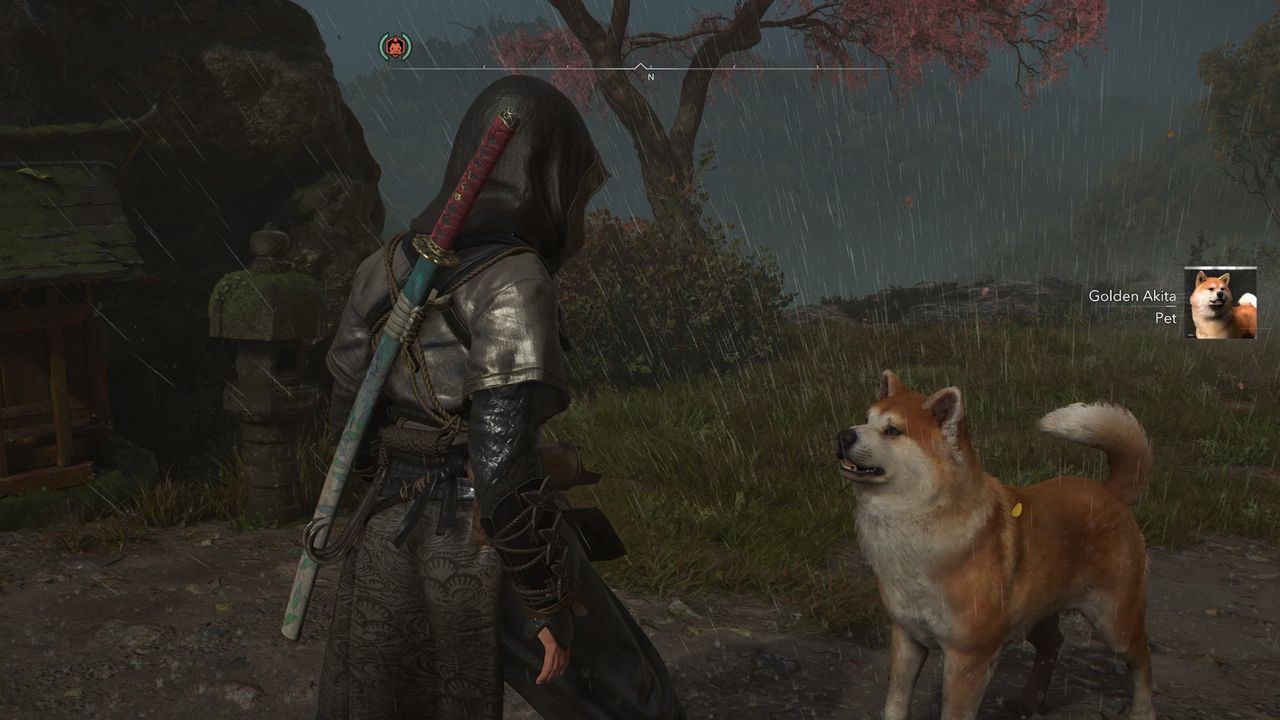 Assassin's Creed Shadows screenshot of Naoe meeting an Akita and unlocking the dog as a pet