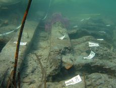 Evidence of ancient smuggling activity has emerged from a Roman shipwreck, according to Italian archaeologists who have investigated the vessel's cargo.