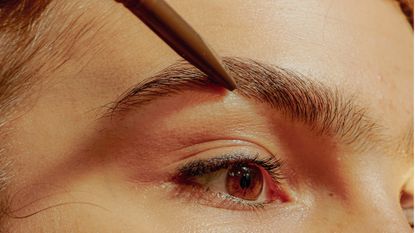 Closeup of a Young Confident Woman Filling in her Eyebrows - stock photo