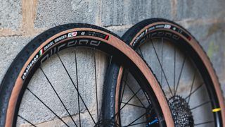Two 650b wheels with Challenge Tires