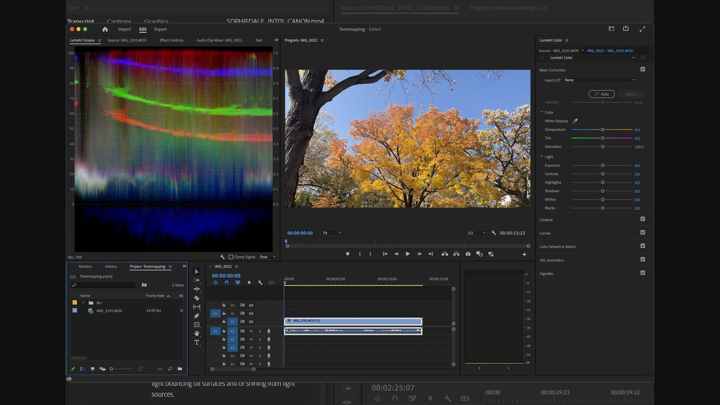 Premiere Pro: Video after tone mapping.