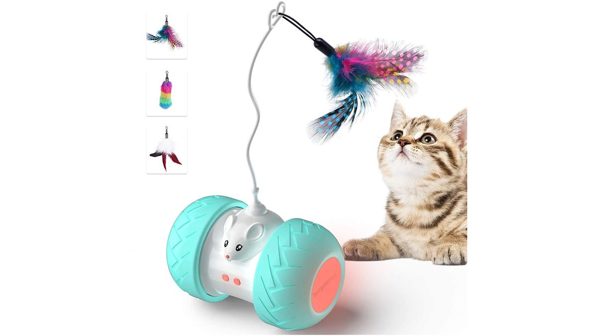 Best interactive cat toys 2023 for mental stimulation PetsRadar