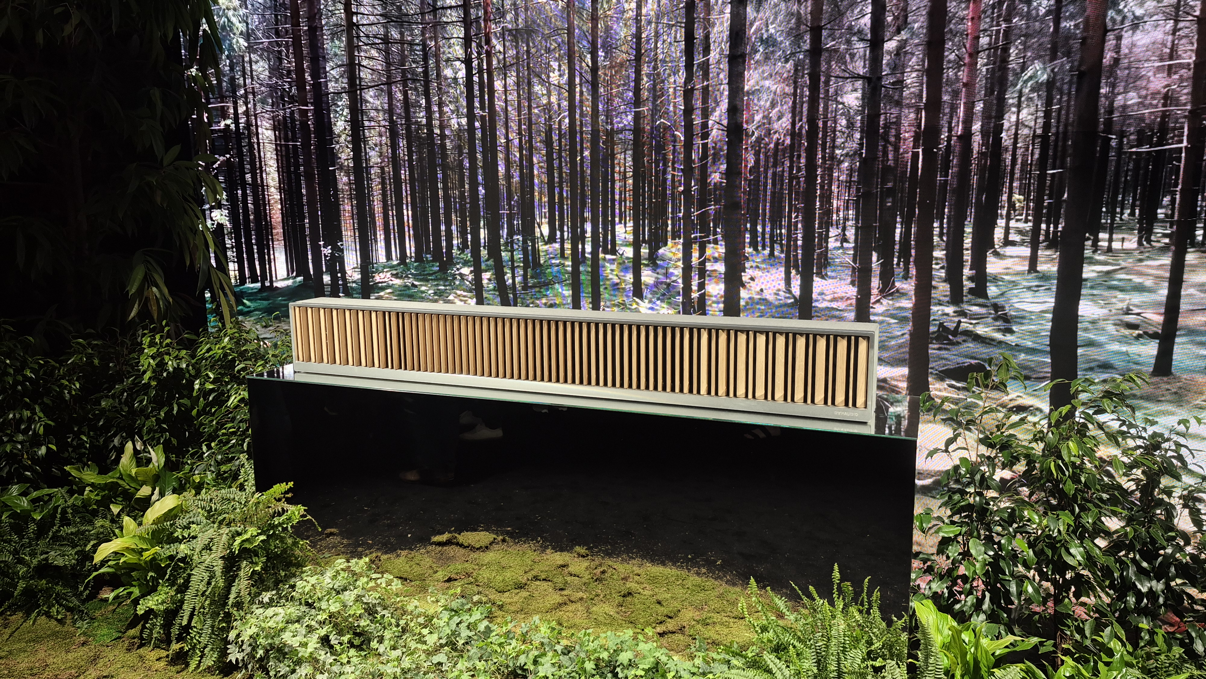 Dynaudio Opus One in forest showroom