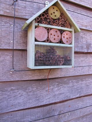 how to make a bug hotel