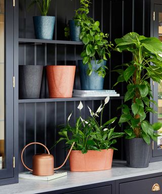 recycled pots from Ivyline on cabinet
