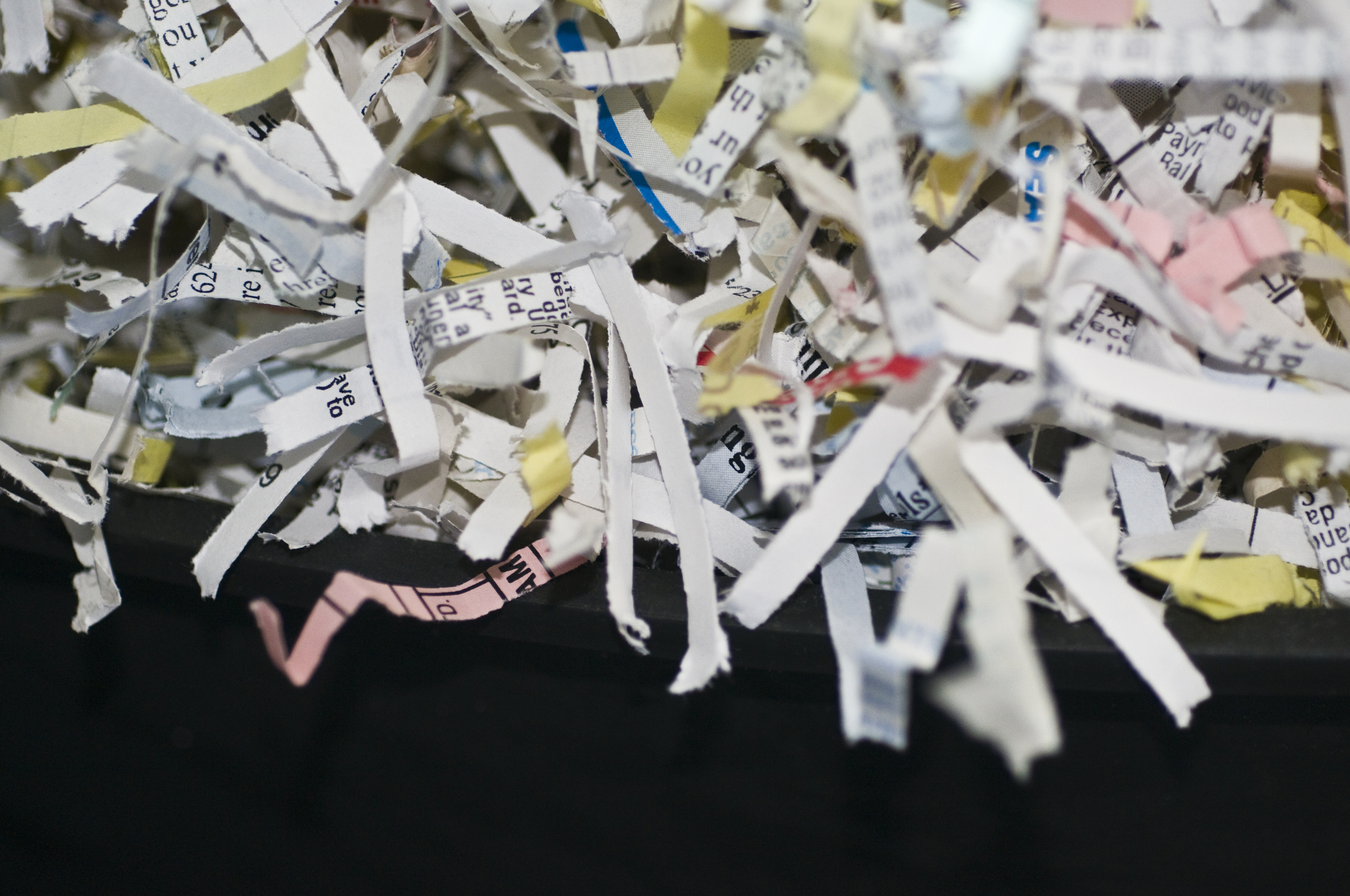 Close-up of shredded paper