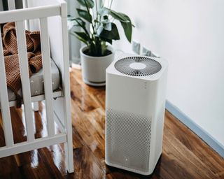 air purifier with houseplant