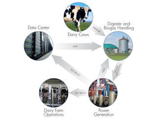 HP Labs Cow plans