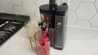 Nama Vitality 5800 on a kitchen countertop making raspberry and yoghurt sorbet