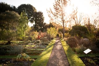 London garden