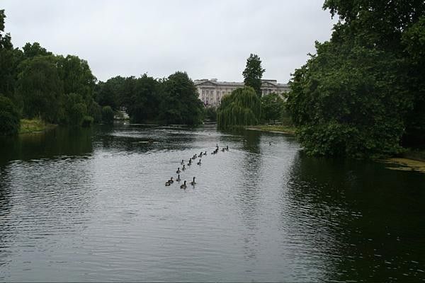 The lake in St James's Park is one of the most tranquil spots in London.