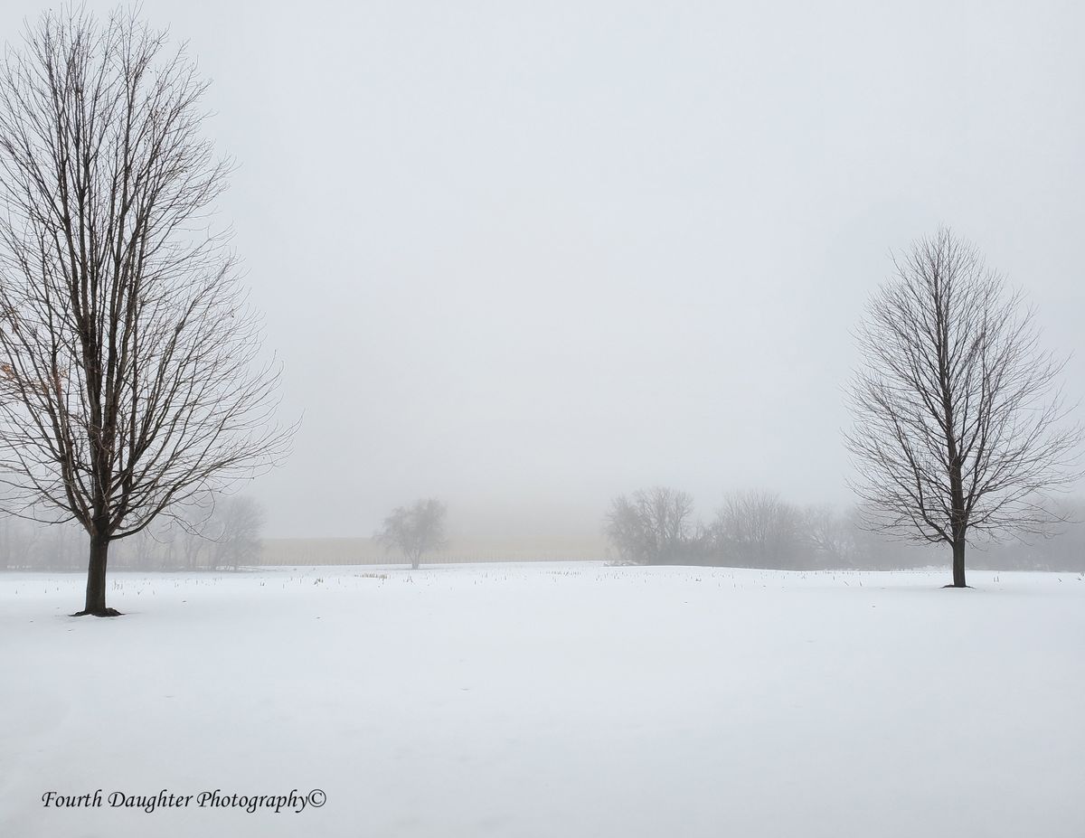 fourthdaughterphoto - United States