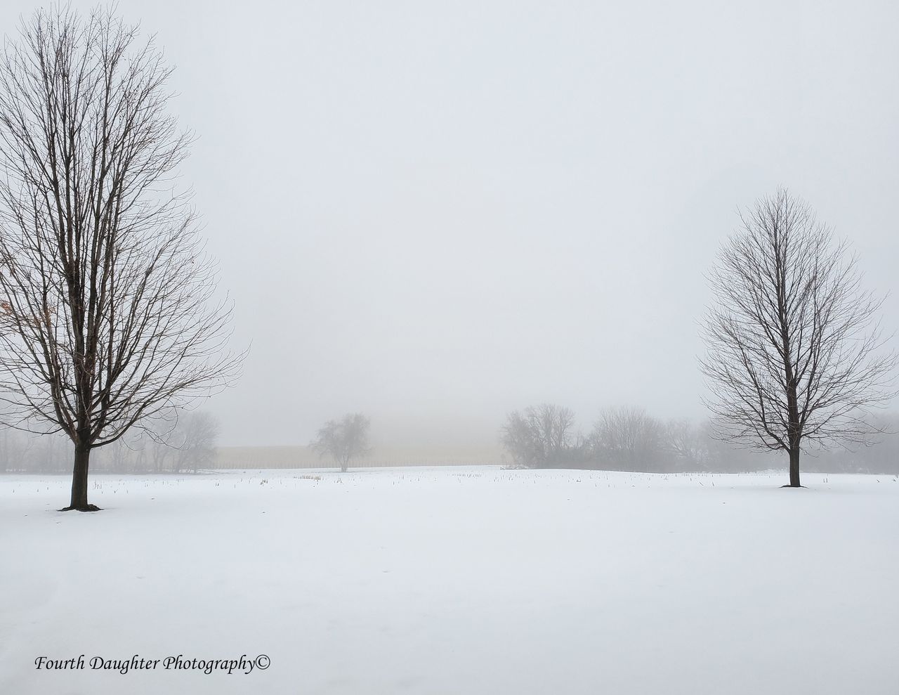 fourthdaughterphoto - United States