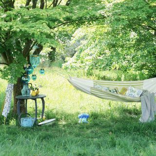 garden grassy area with hammock and table