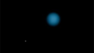 Julian Shapiro, 13, of Chapel Hill, North Carolina, was highly commended for this image in the Young photographer category. Shapiro used his telescope to locate and photograph Neptune and its largest moon, Triton.