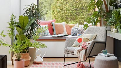 houseplants arranged in a living area with picture window and seating