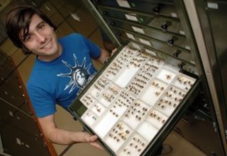 Bryan Lessard, who named the horse fly after Beyoncé, with his bug collection.