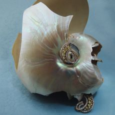 La Mia Itaca jewellery summer 25 shoot