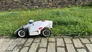 white robot mower on grass near path