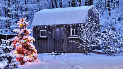 snowy scene with shed and christmas lights