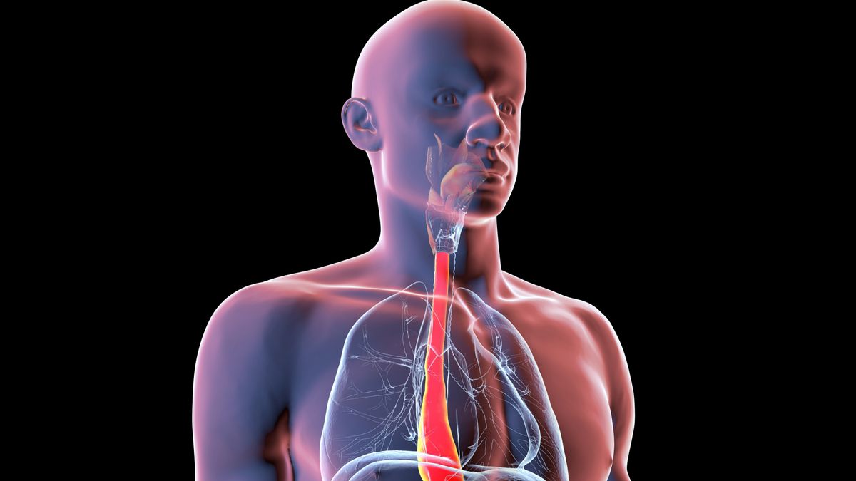 Making a 'digital twin' of yourself could revolutionize future surgeries, making medical procedures much more personal