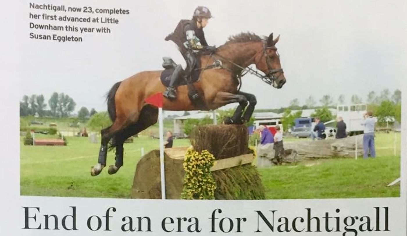 Grafennacht breeding: magazine of eventing report cutting