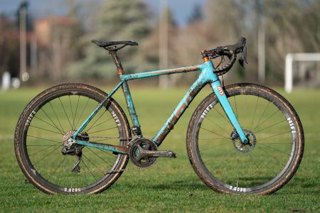 Clara Honsinger's Kona Major Jake