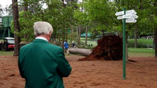 A patron looks at one of the trees after it fell during the second round of the 2023 Masters