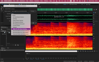 Adobe Audition in use