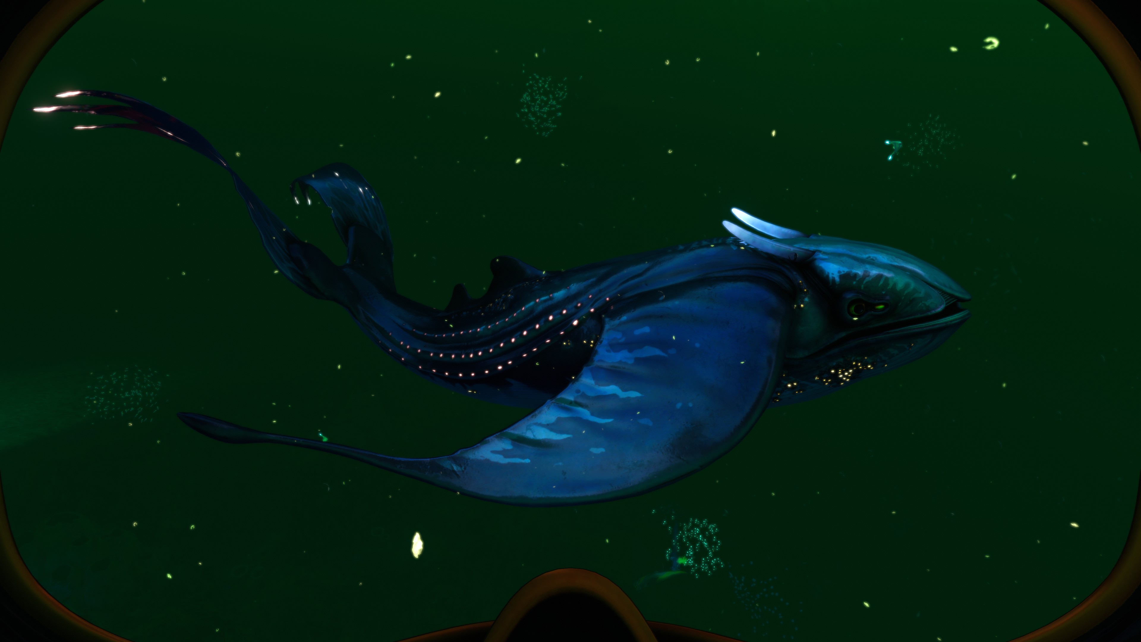 Glow whale