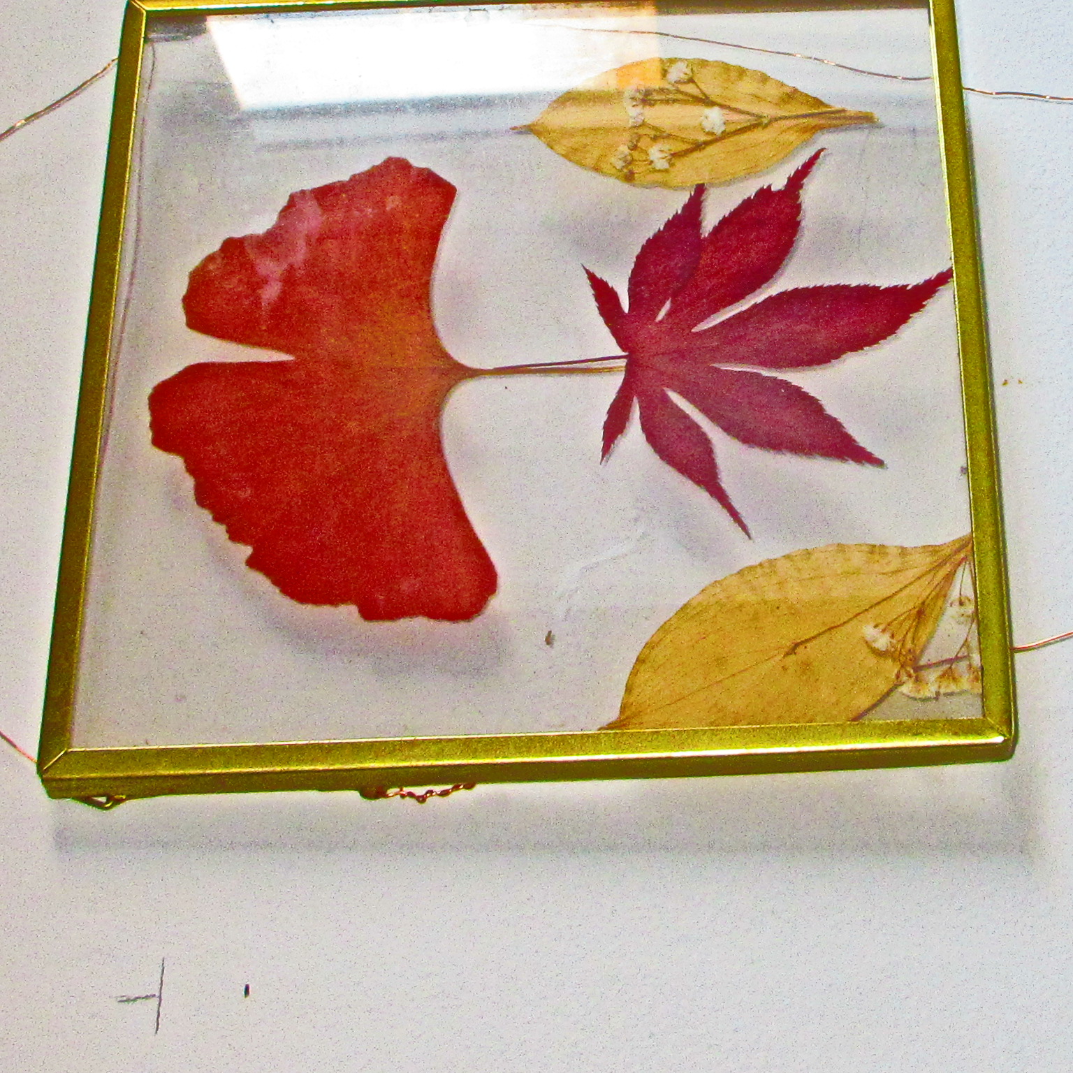 A photo taken on a Canon PowerShot Elph 360 HS A / IXUS 285 HS A compact camera