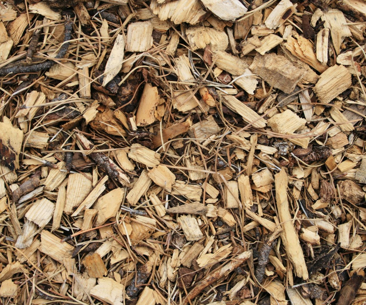Can mulch catch fire? Expert tips to avoid the dangers Homes & Gardens