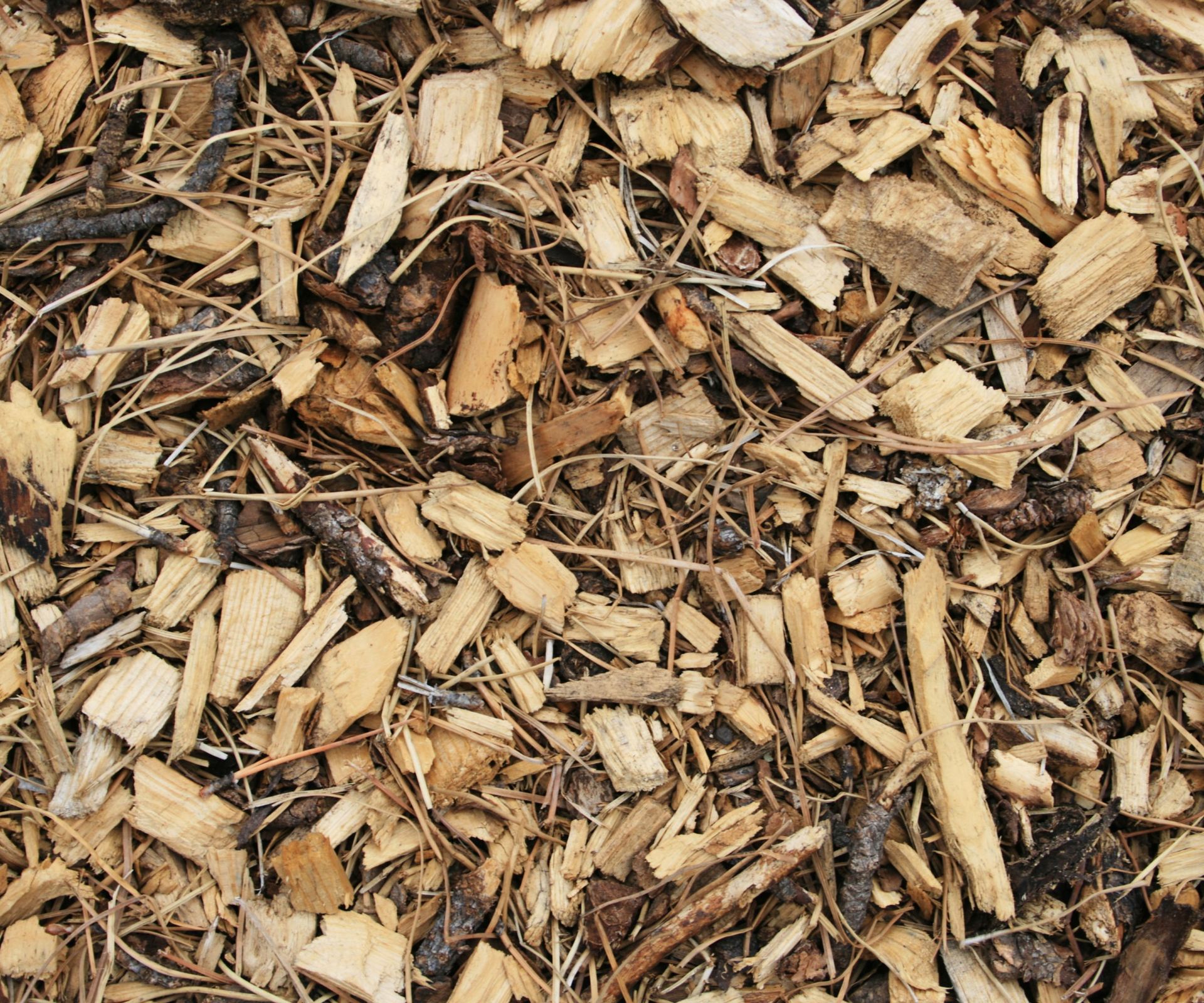 Can mulch catch fire? Expert tips to avoid the dangers Homes & Gardens